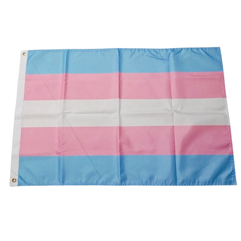 Trans Pride Flag: Medium